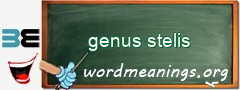 WordMeaning blackboard for genus stelis